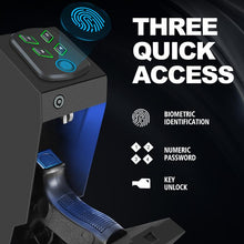 Load image into Gallery viewer, Shadow X™ Pro Biometric Mounted Hidden Safe