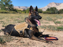 Load image into Gallery viewer, Warrior Pup™ Tactical Harness