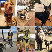 Load image into Gallery viewer, Warrior Pup™ Tactical Harness