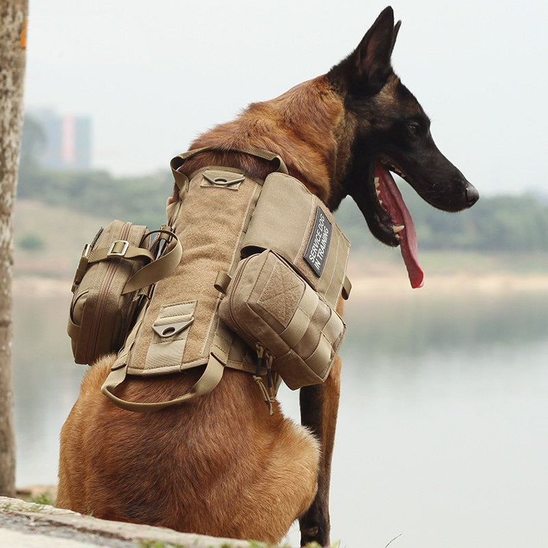 Warrior Pup™ Tactical Harness – Military Mental Endurance